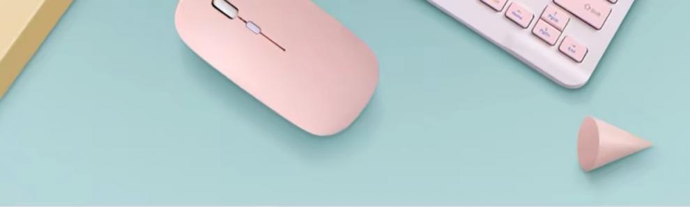 77df0a80-7fbf-4dce-ae73-8febb6bc3aea.jpe