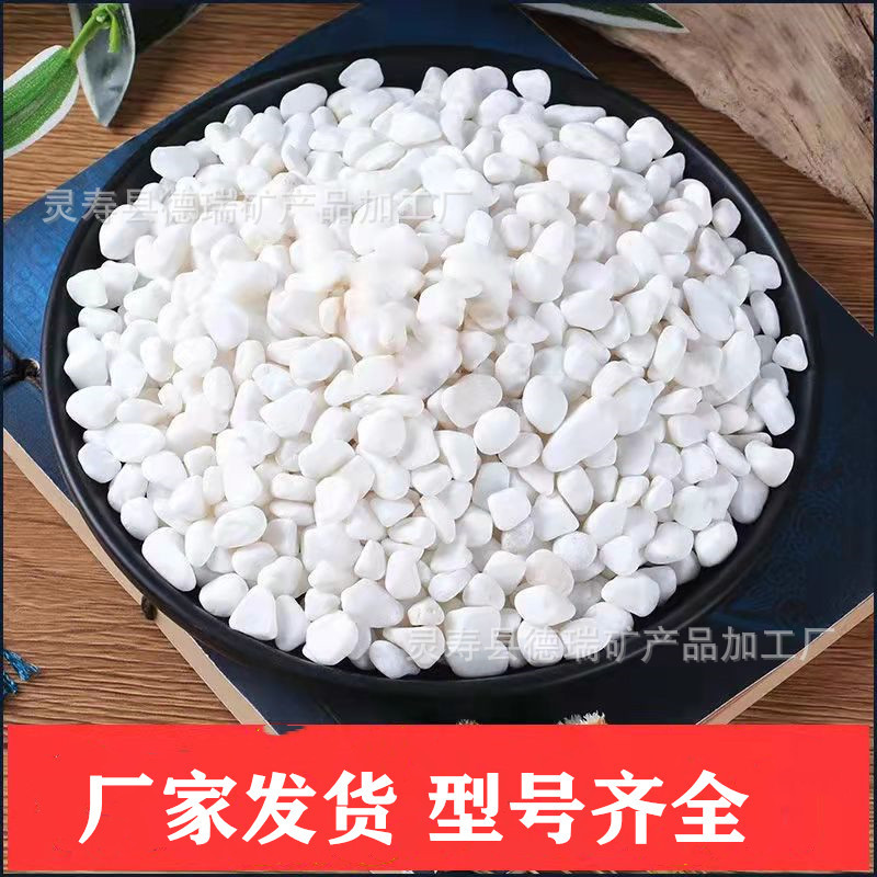 微信图片_20230409110106.jpg