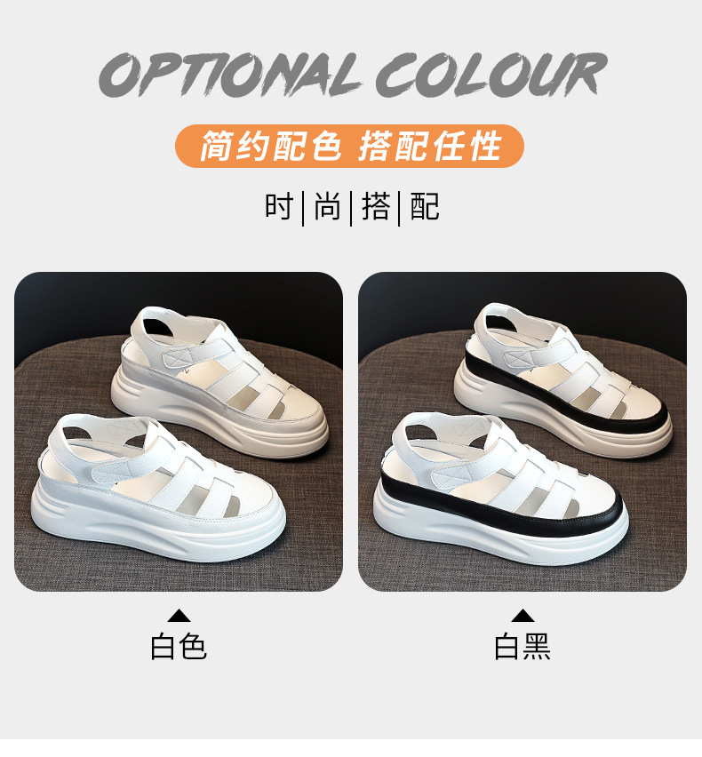 详情_03.jpg