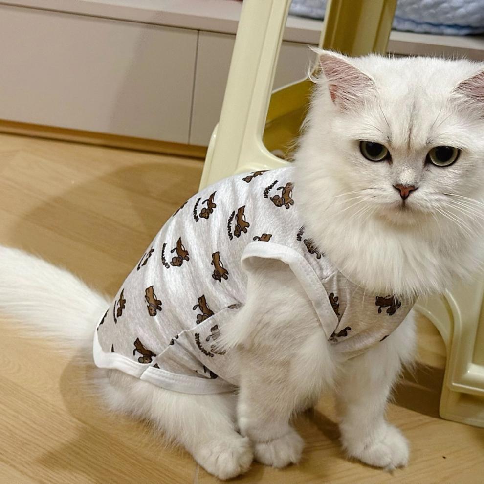 781a2d66-3a34-4b7d-88b0-0b87a83cc233.jpe