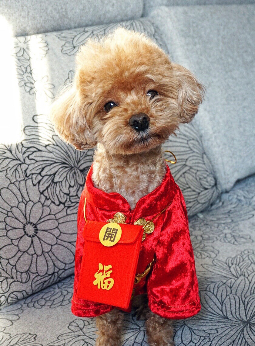 O1CN01viIPYN1haEnokMv5M_!!8425