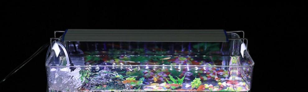 5c47748b-89d4-4234-b42d-8cd3b90ee52e.jpe