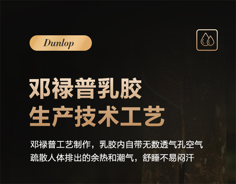 b9a5a097-4300-4802-87d4-7c5972a7a695.jpe