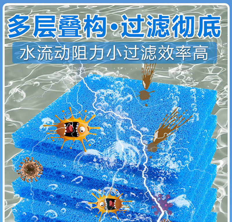 e5569fdf-b1eb-4840-83d0-649832a53e34.jpe