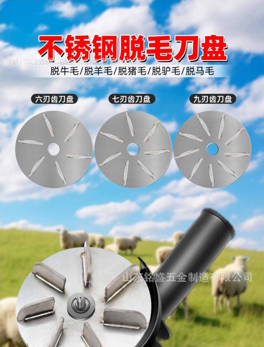 详情_01.jpg