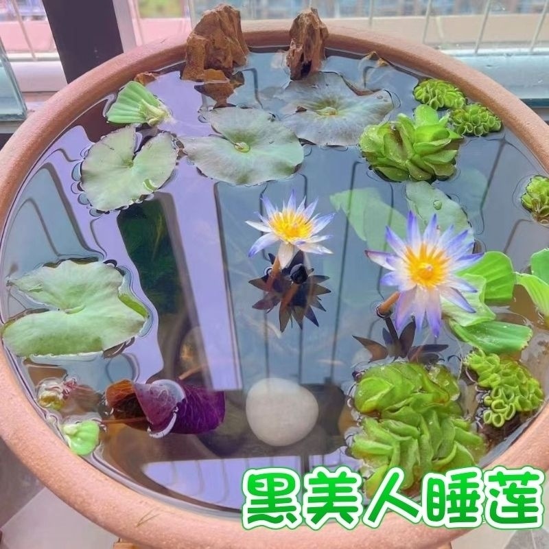 e191cb42-dd2d-4294-ace5-c86783fe4d56.jpe