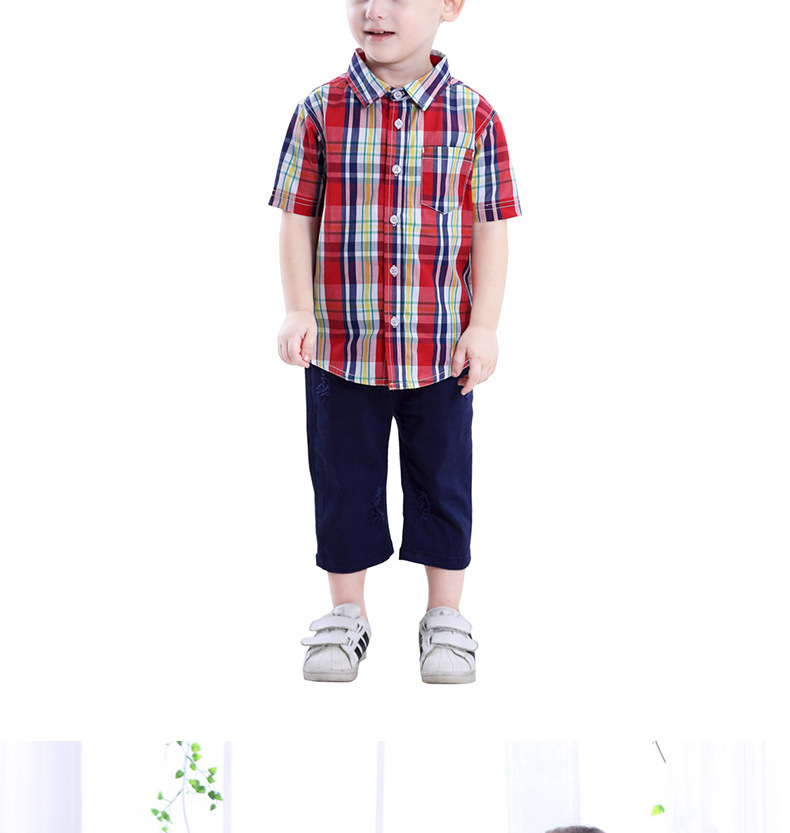 59e163ed4071a-副本_12