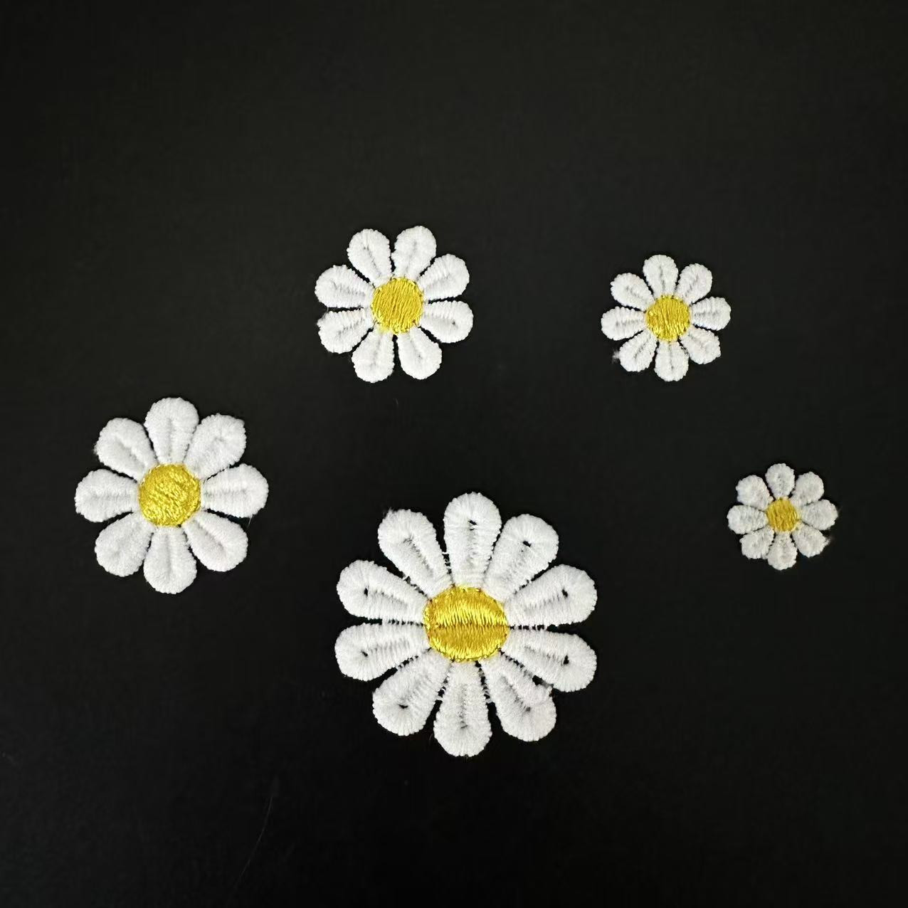 小雏菊花个