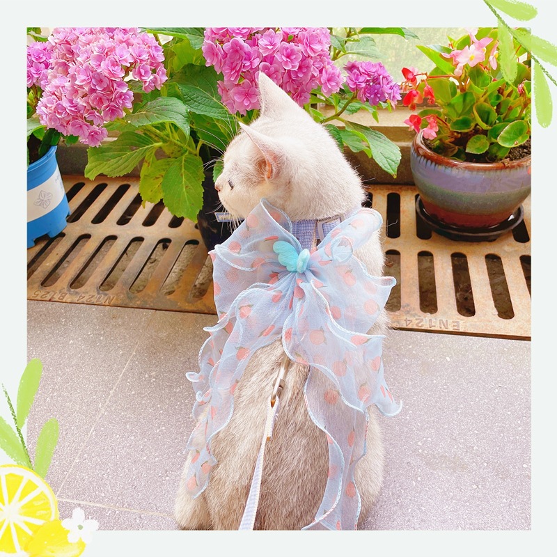 IMG_4740(20220617-151743)_副本