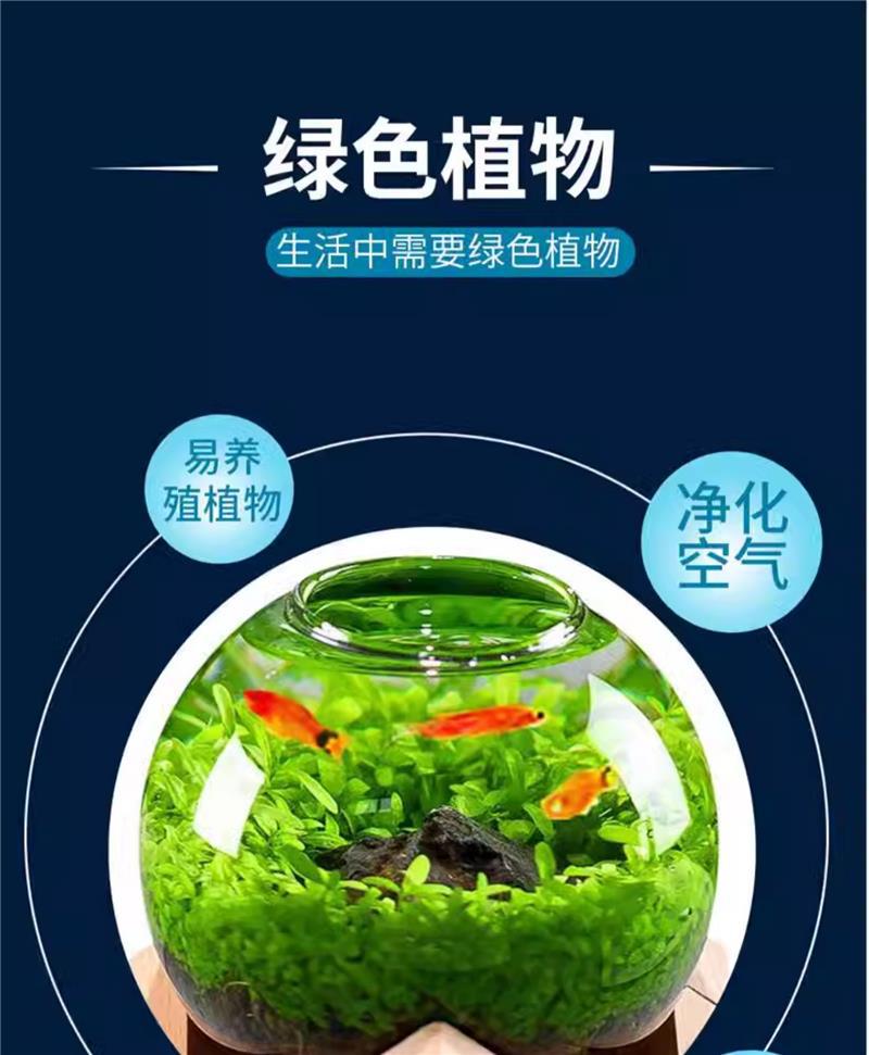详情图片_6