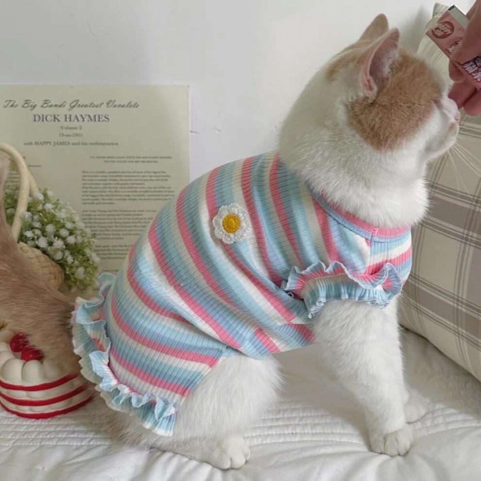 6d057ae8-dc4a-43e3-a6c7-30d8b29961bd.jpe