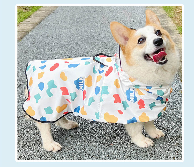 196a939d-2e57-4982-861d-e2917f653b07.jpe