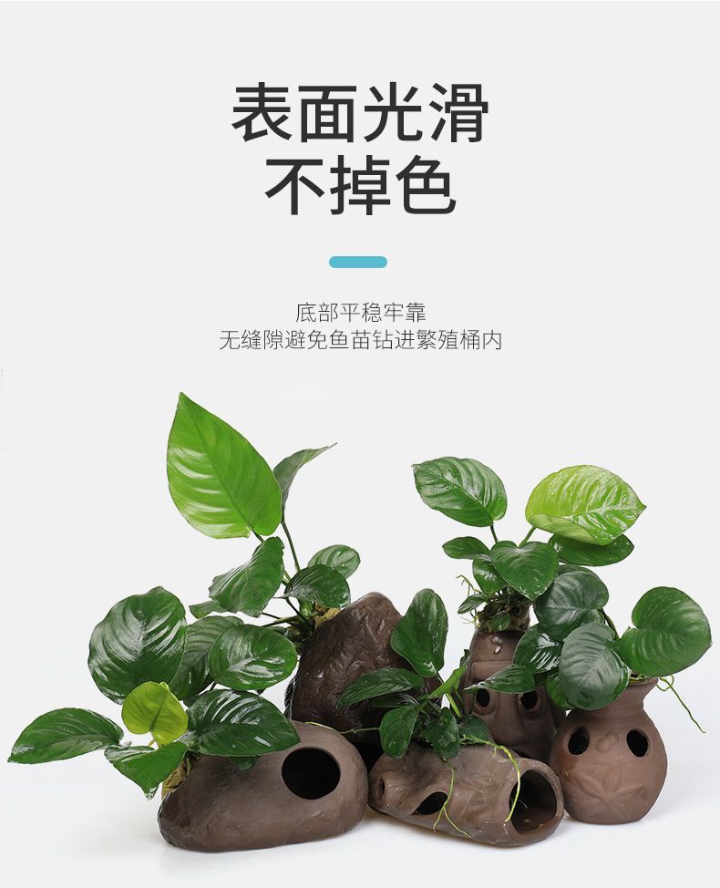 a21856d9-9ebe-42a6-bef8-bf553faa4f55.jpe