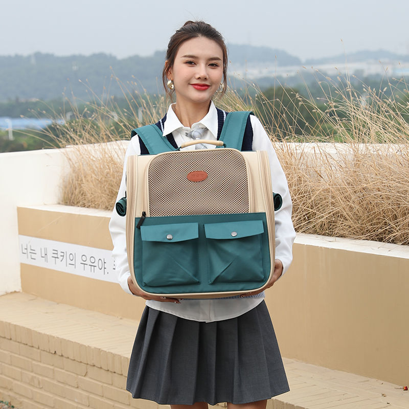 6ca38b77-68e3-4a7a-aefe-e55de056f2e6.jpe