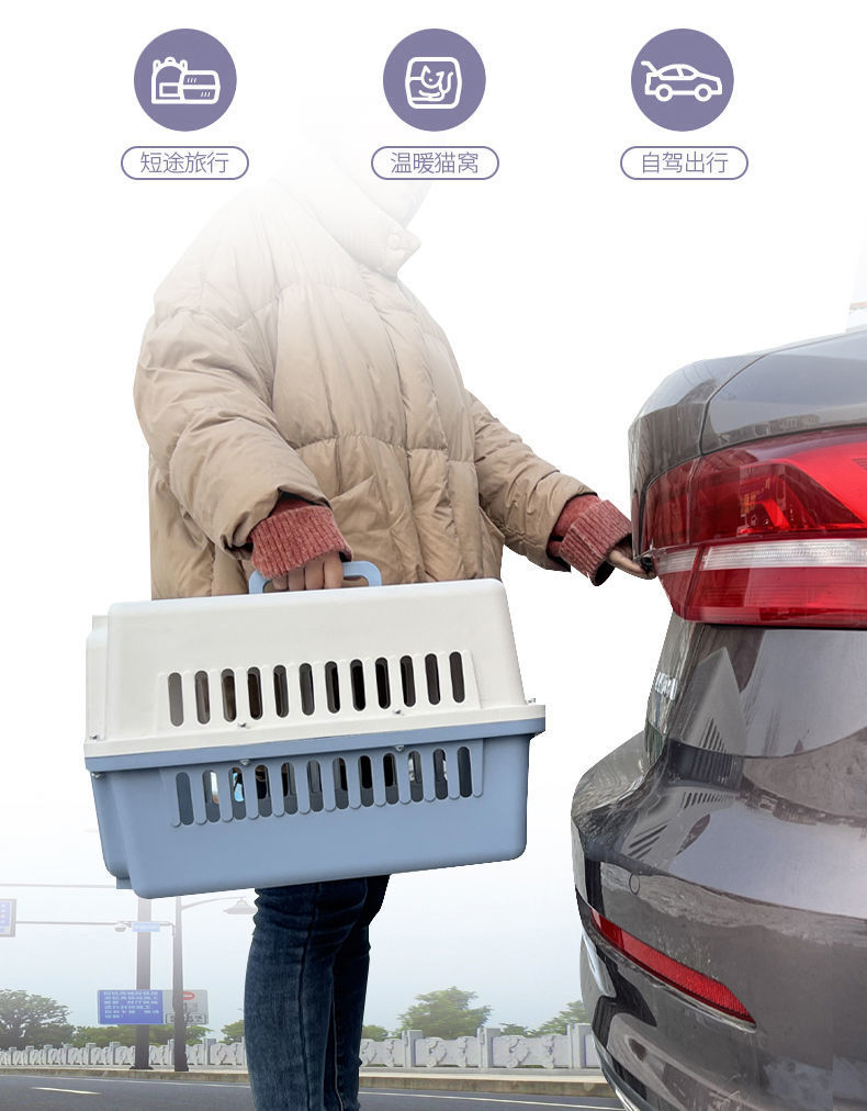 0aae3ecb-6dcb-40c0-a636-cc67801c936c.jpe