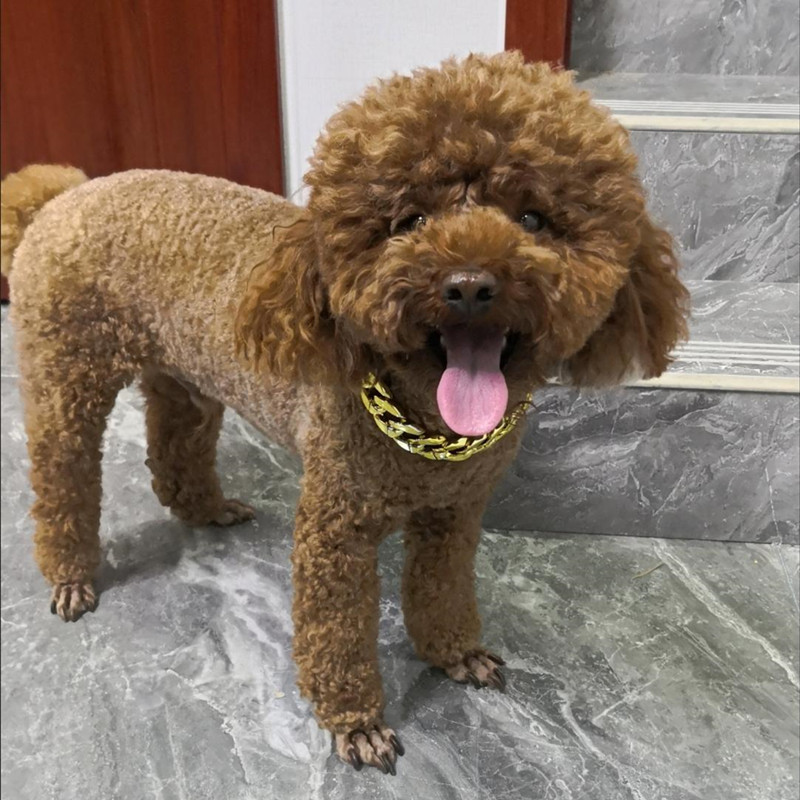 d9e441c2-6892-4919-9fea-28bfbf