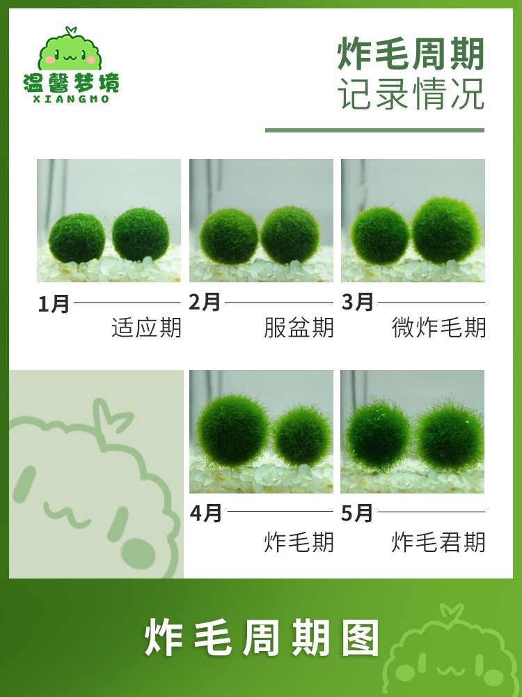 050000