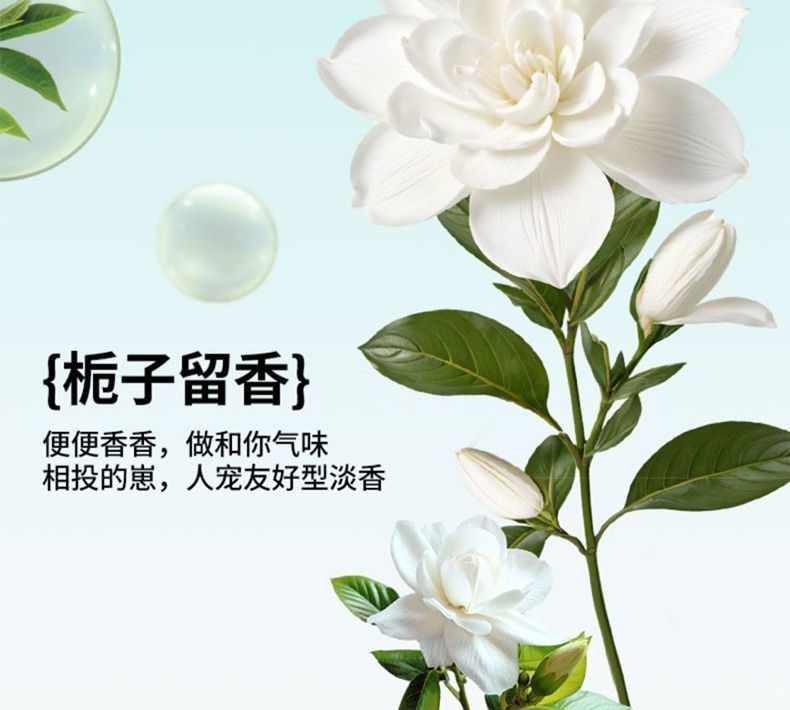 5fb33b9c-b939-4e50-ac49-daf8f24333b6.jpe