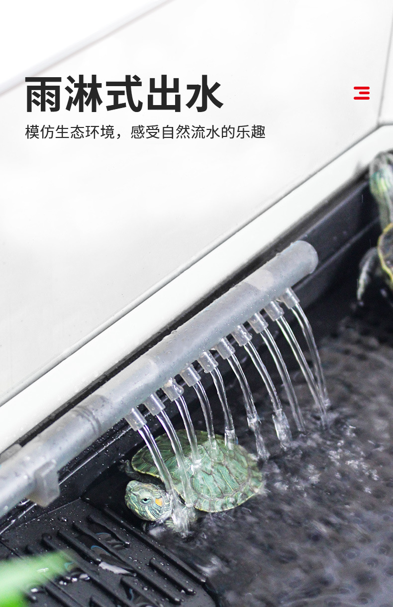 189b6555-b5ed-4719-8e15-d67453b1ea87.jpe