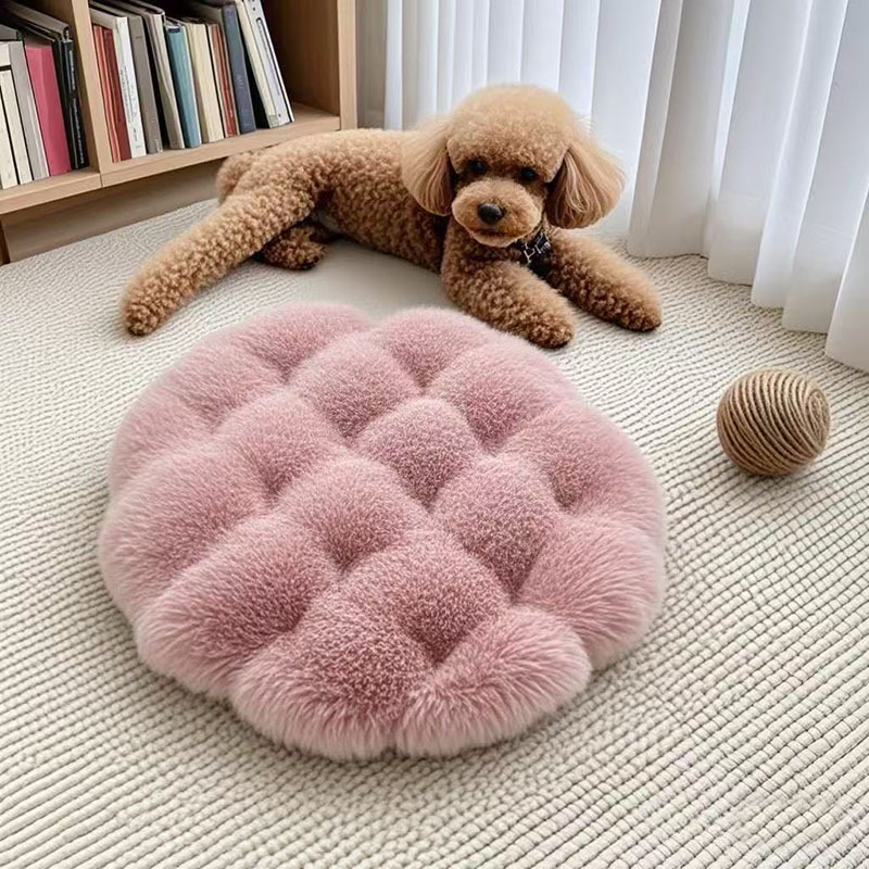 微信图片_20250508212726