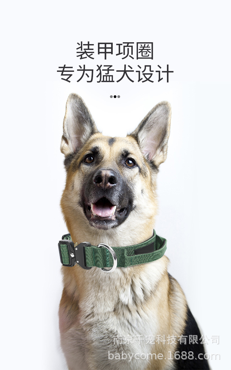 雷澳猛犬项圈_01.jpg