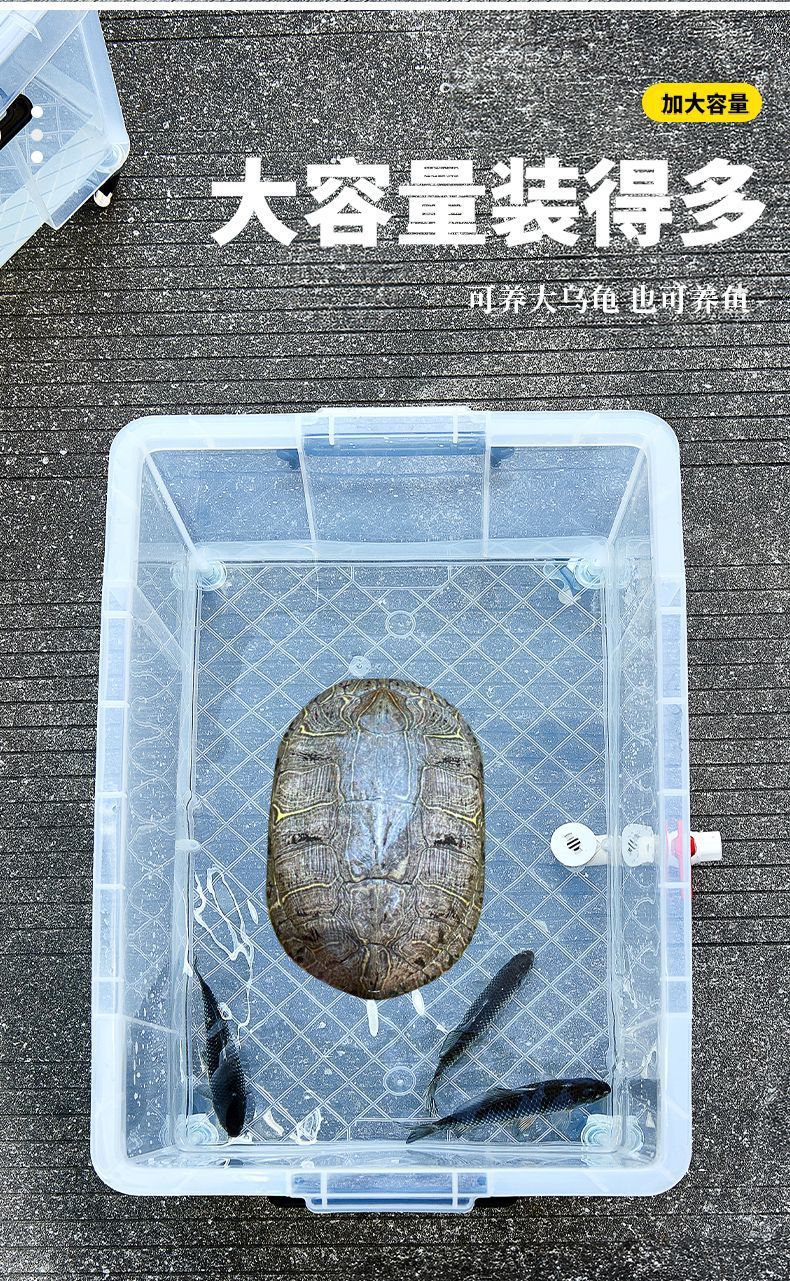 1c0c4edc-85f5-459e-bd53-c9501dee41f3.jpe