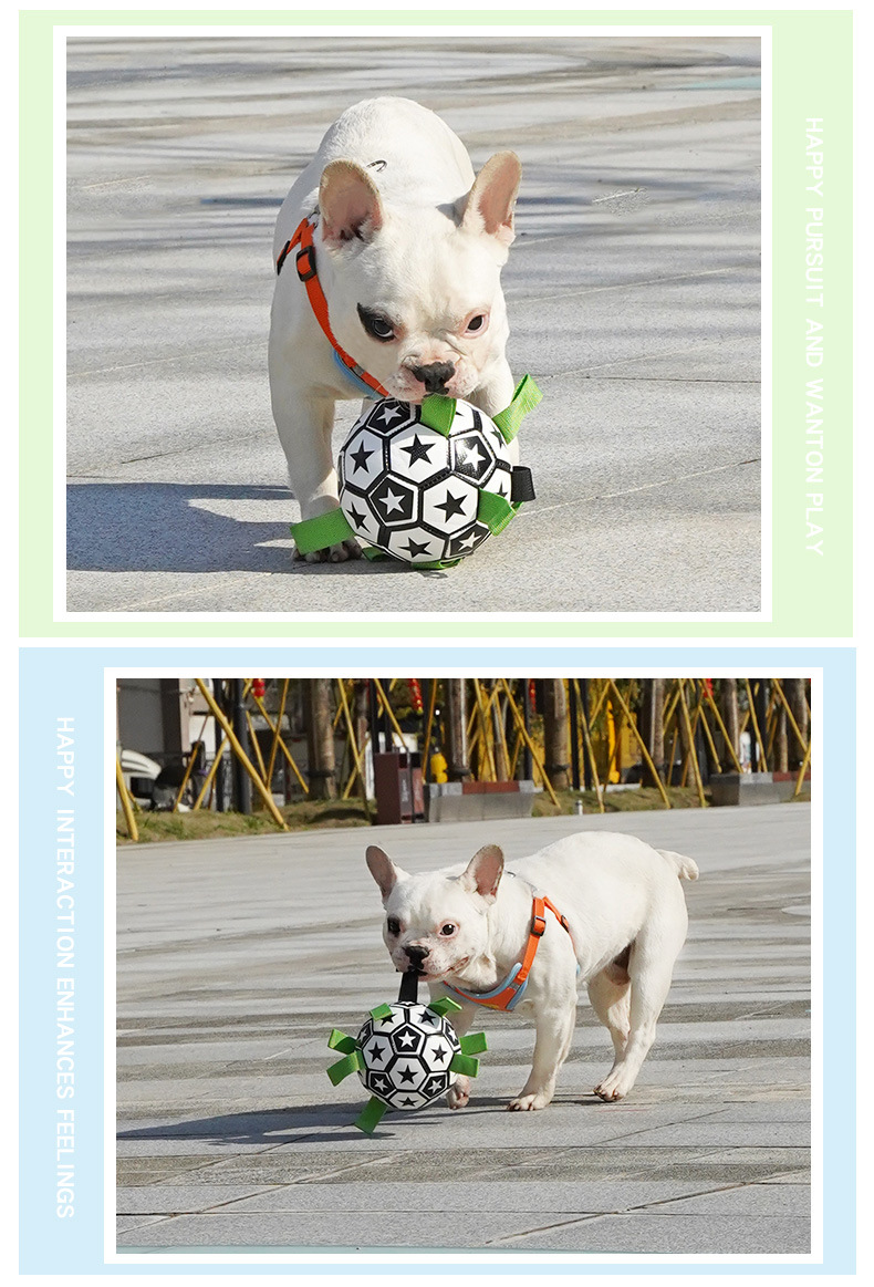 详情-1688-换图_09