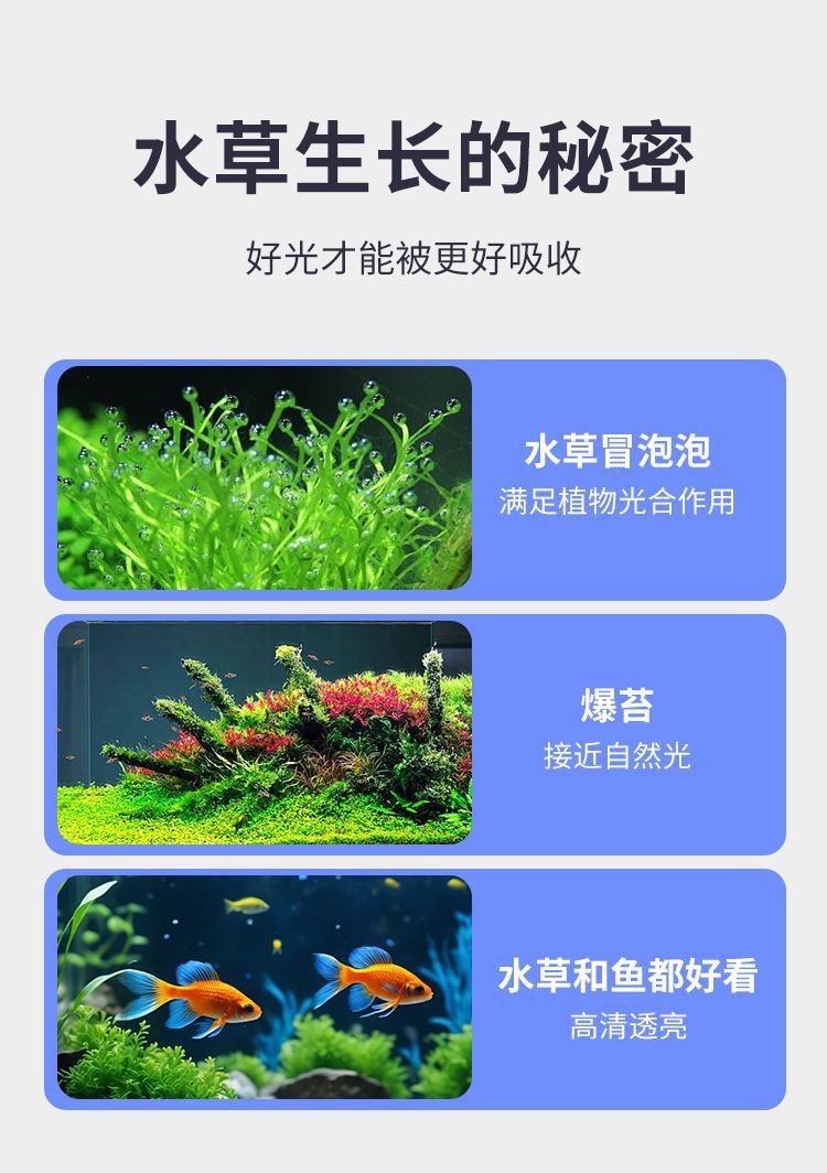 fd41b5bf-3e3b-4081-b7f2-c41d7948f9a8.jpe