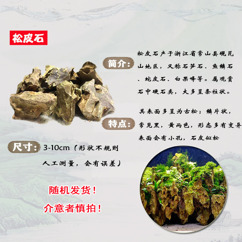 松皮石.jpg