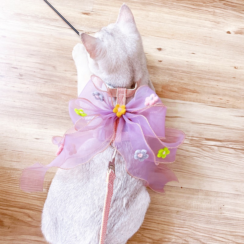 IMG_2453(20210901-145836)_副本