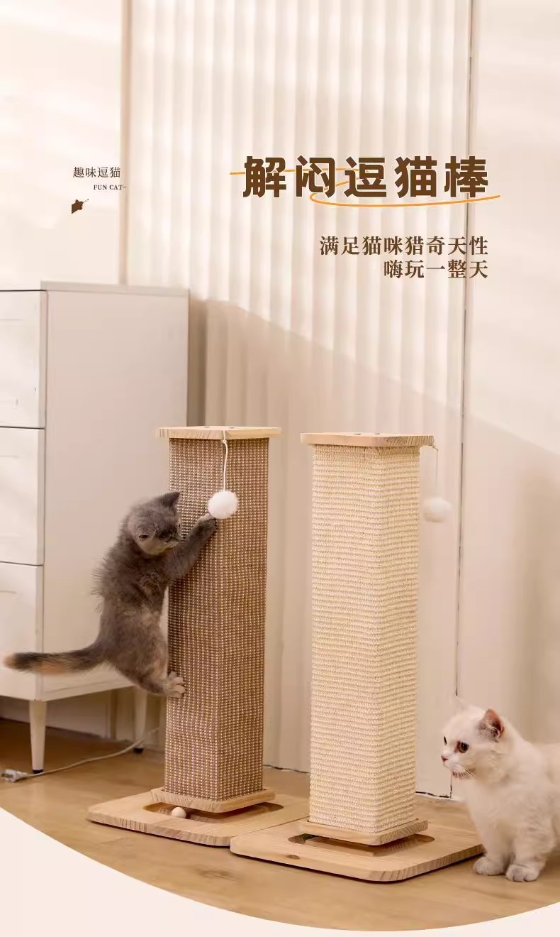 71851050-20bf-4c15-8e73-1f6355c44d13.jpe