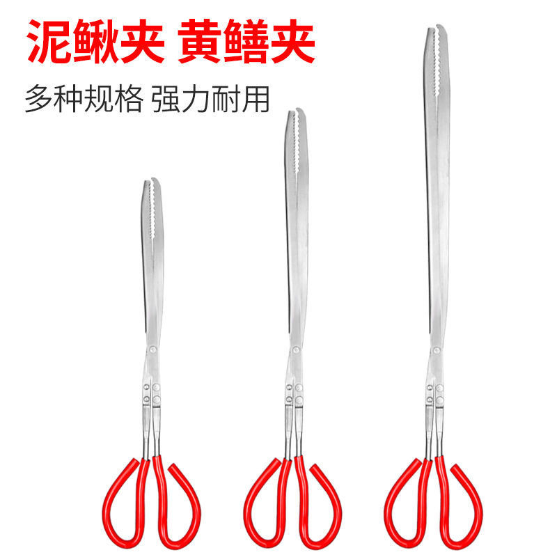 IMG_8336(20240509-165633)