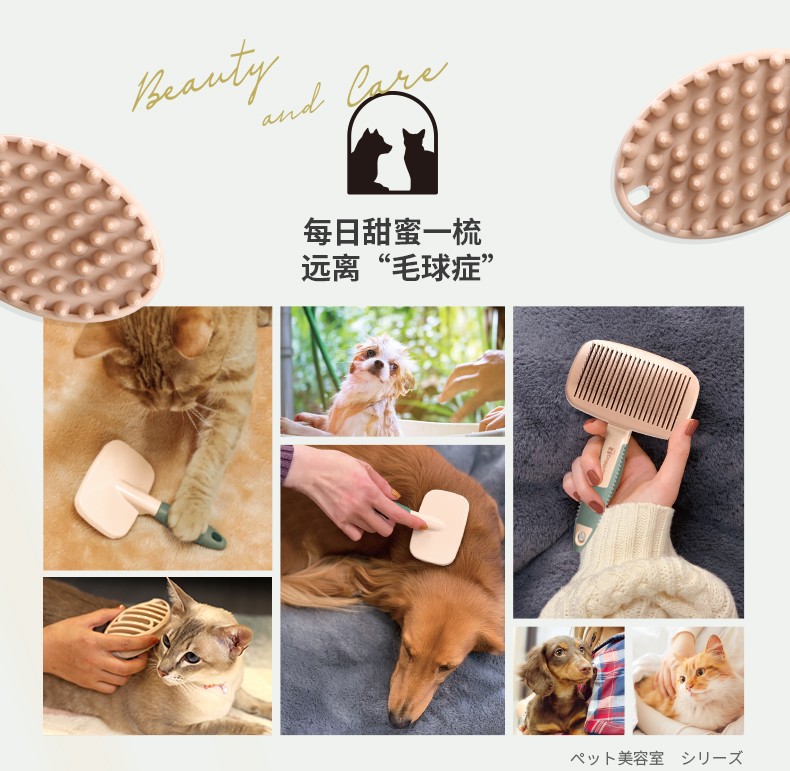 新款粘毛刷详情1