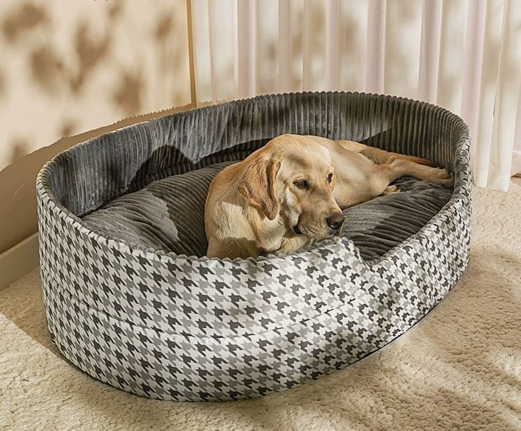 2cfc750a-0bdc-4704-8990-bb7f740c7e07.jpe