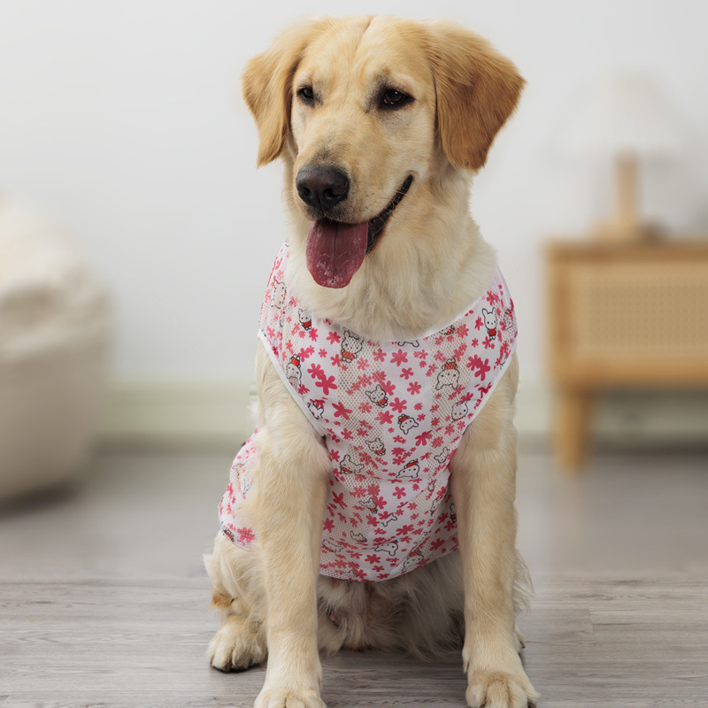 00fd7106-a824-45a9-8bc1-384e75eb8b7e.jpe