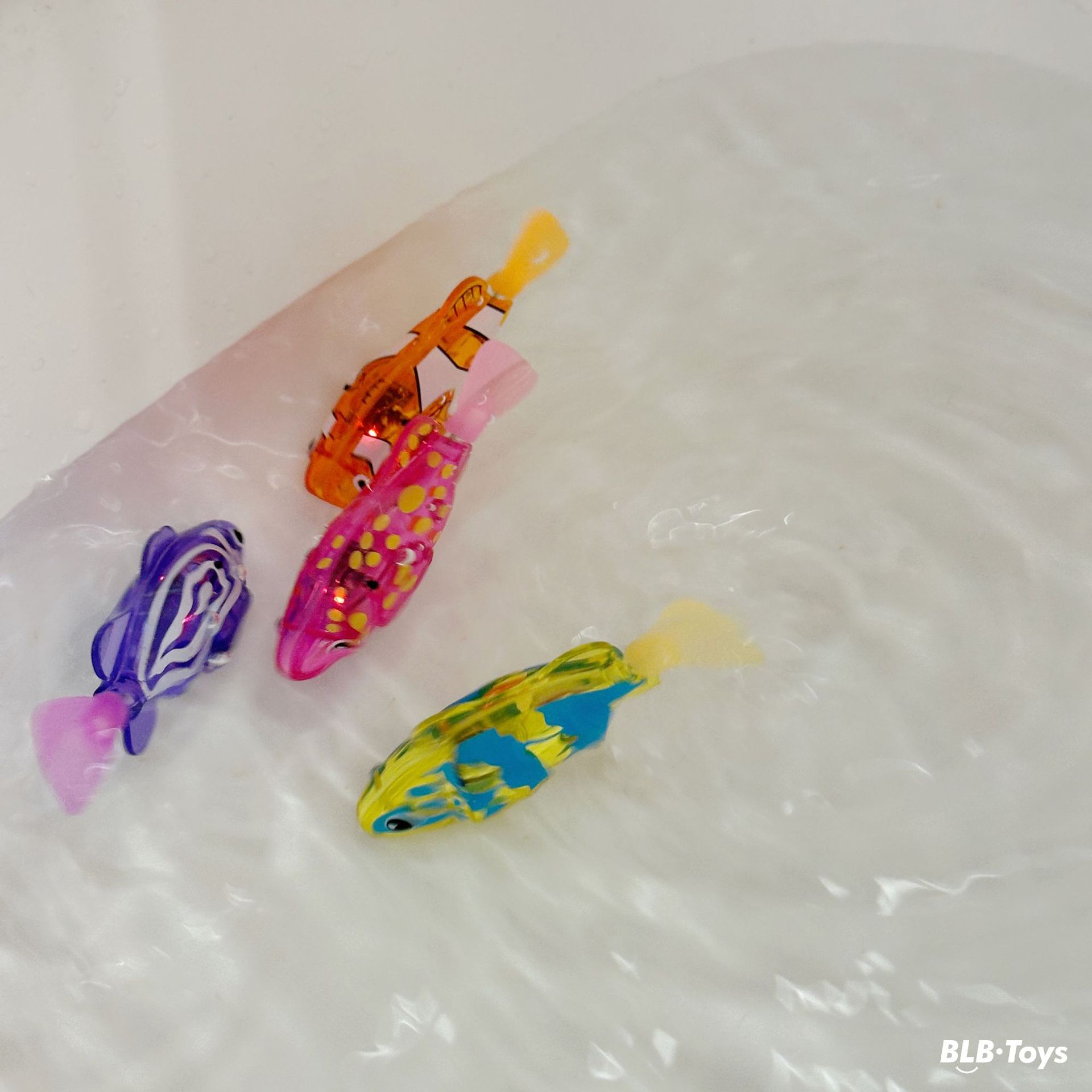 31c08accb5e2254254a23512c8fb3f