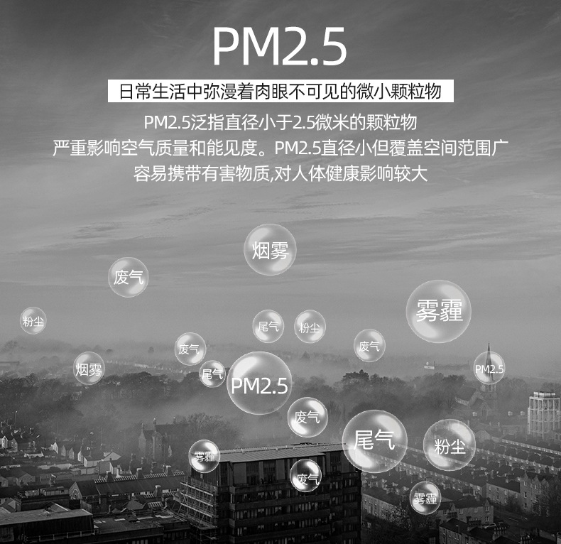 详情4