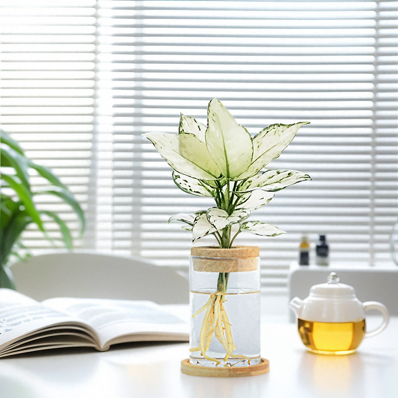 b24e59f3-fa26-4e52-ba4a-fe7952f63b74.jpe