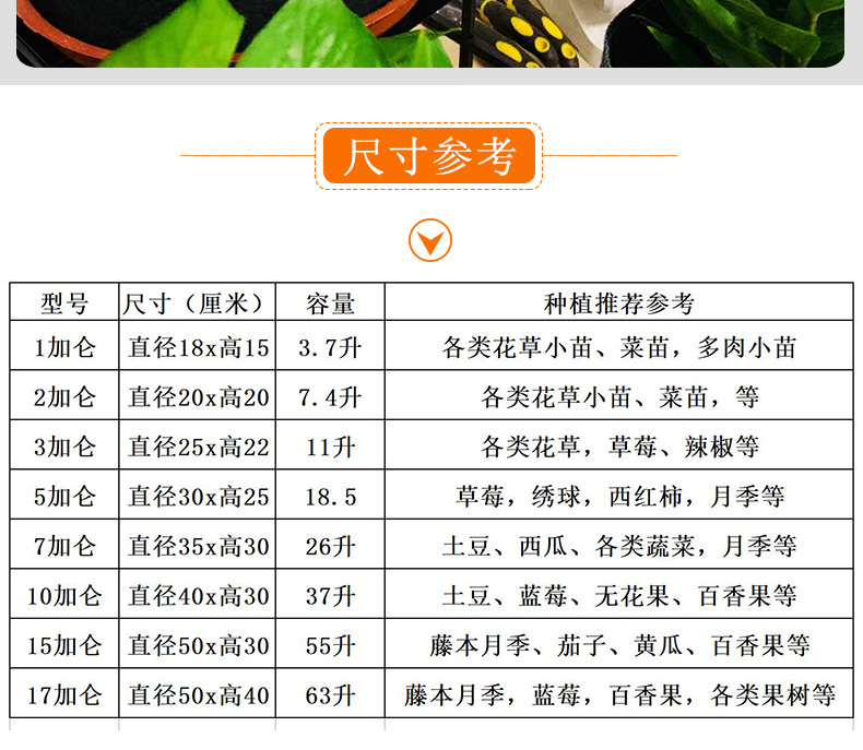 彩色种植袋2_20.jpg