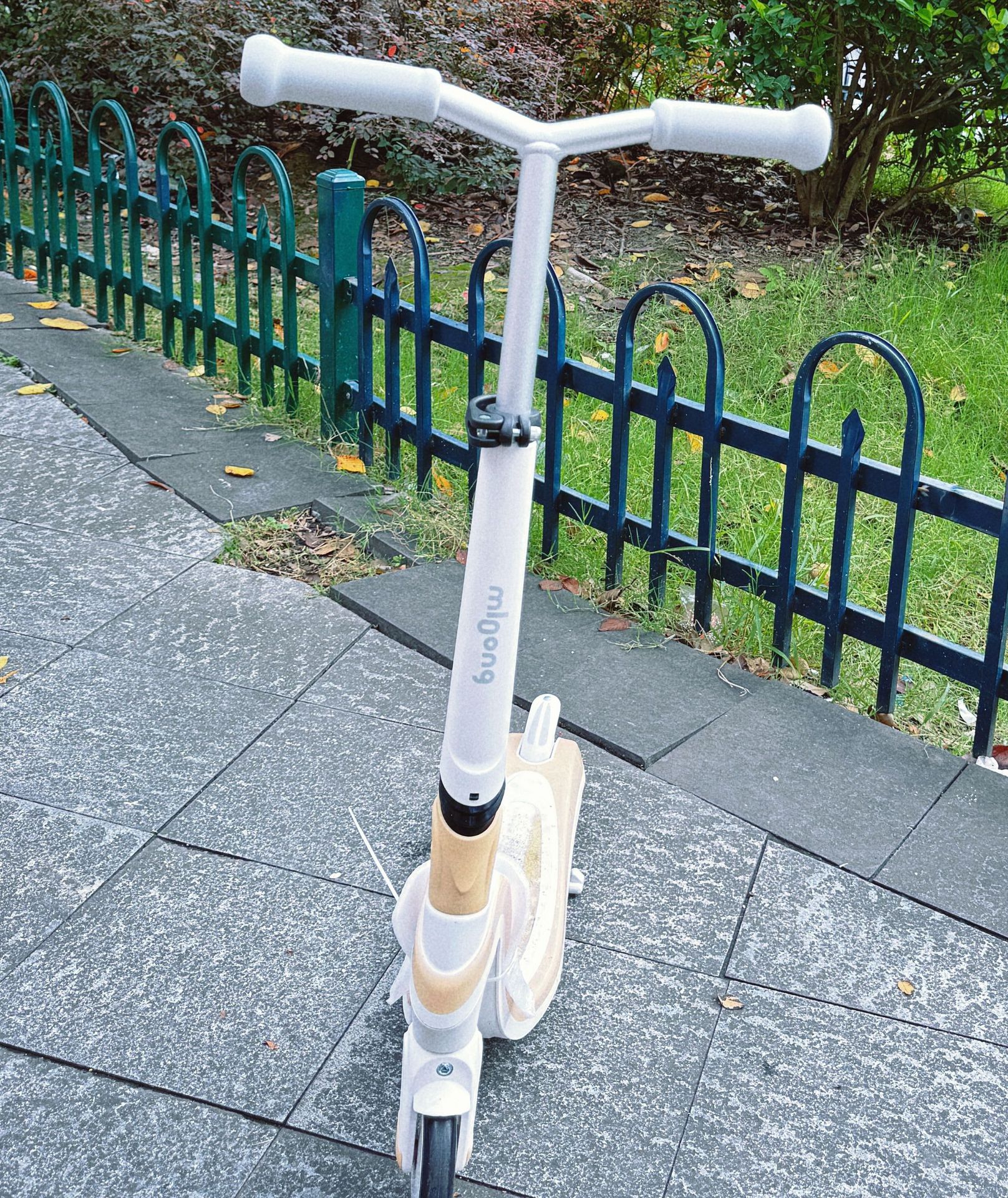 微信图片_20241116194737