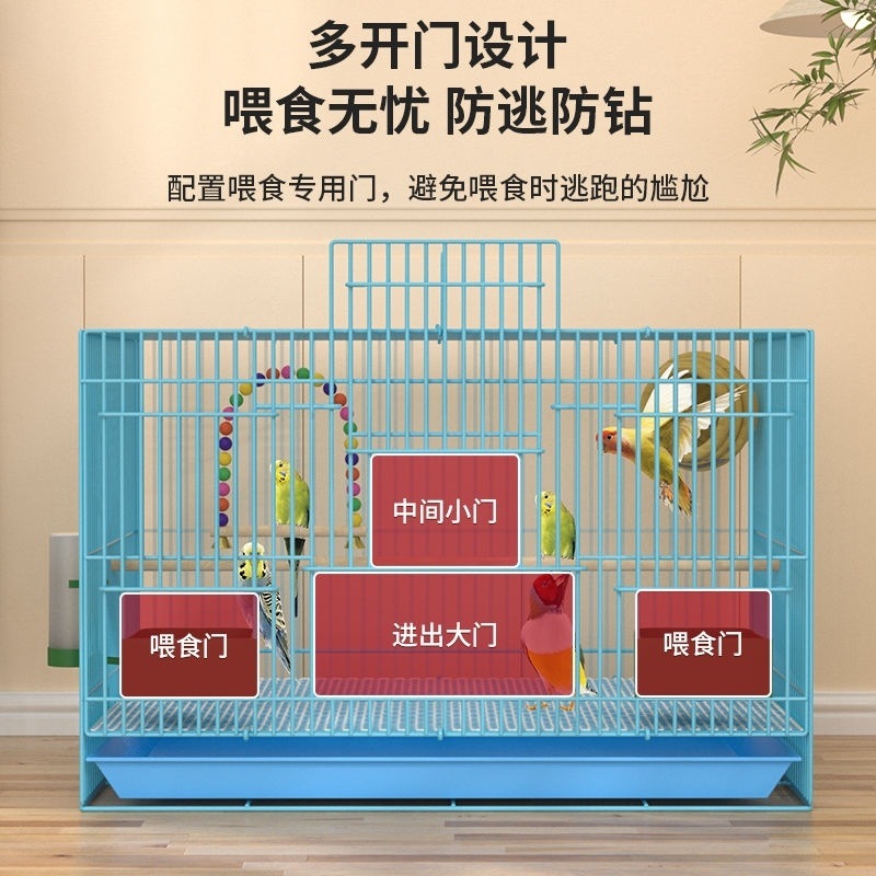 c3903418-3a30-434f-8188-baf60eb5d17b.jpe