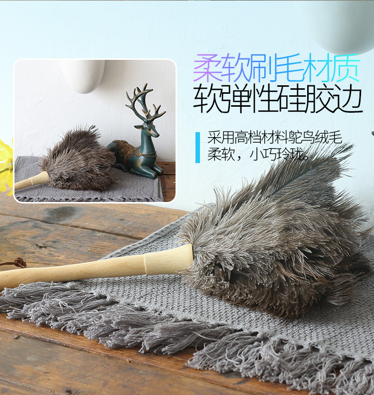 12463054-d5e4-4c4c-bc9c-b27ce8ffe1da.jpe