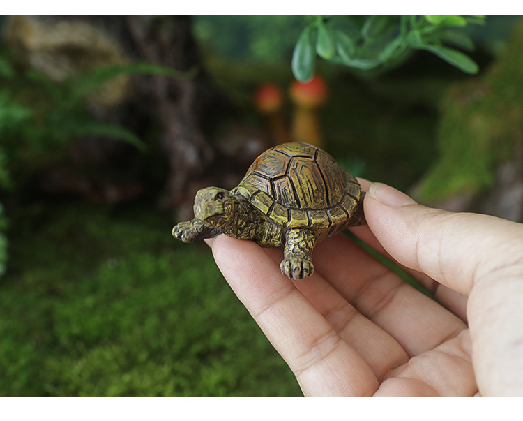 乌龟_16.jpg