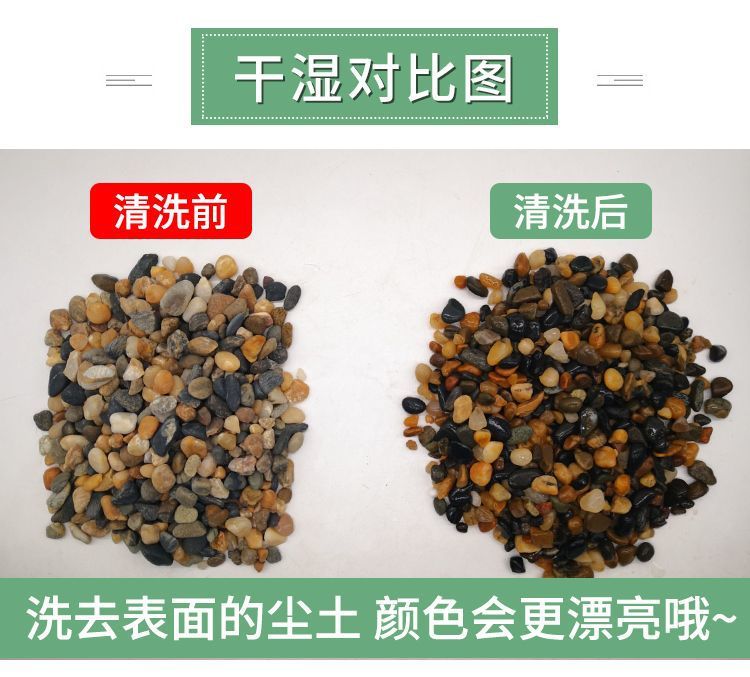 3dde0bd0-4fa9-4188-b086-8f8b1a19e719.jpe