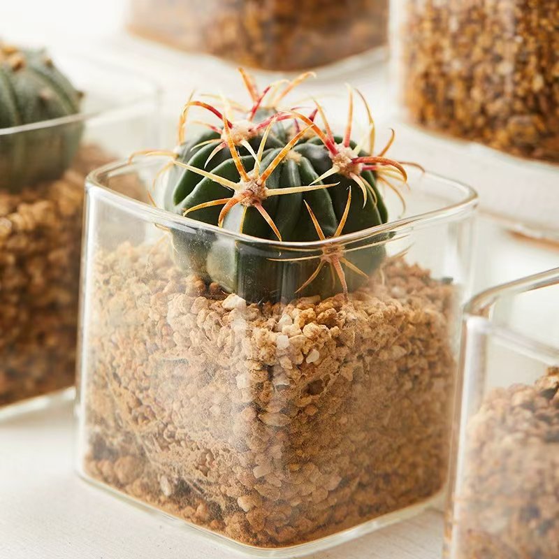 f40ff8a56c7a8f1a3515fafd1453a5