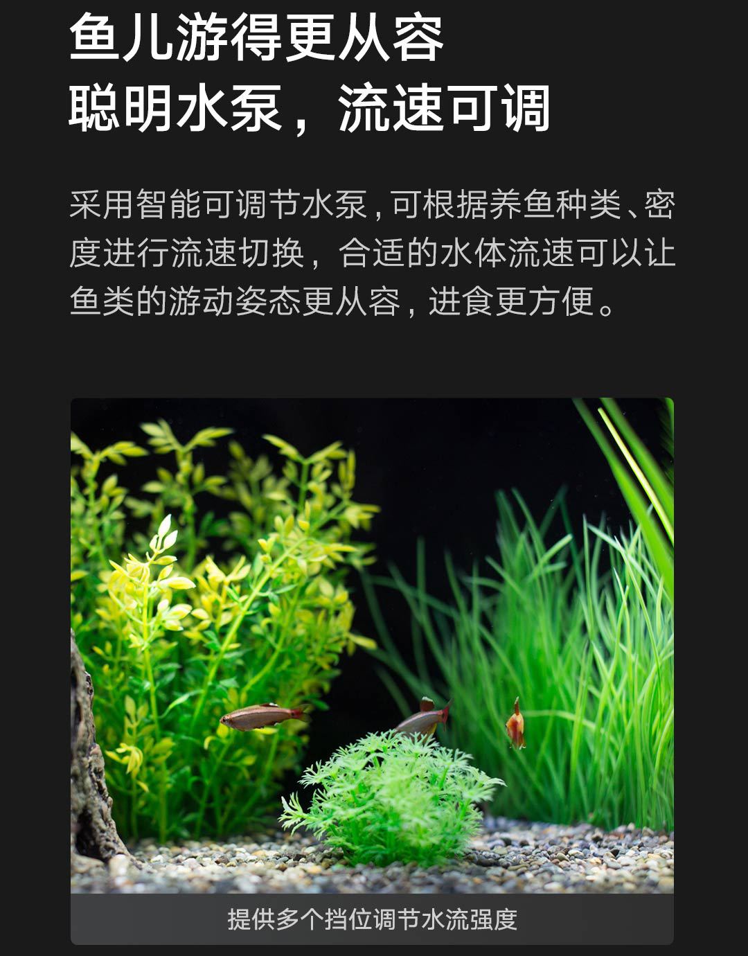 米家智能鱼缸详情页- (24).JPEG