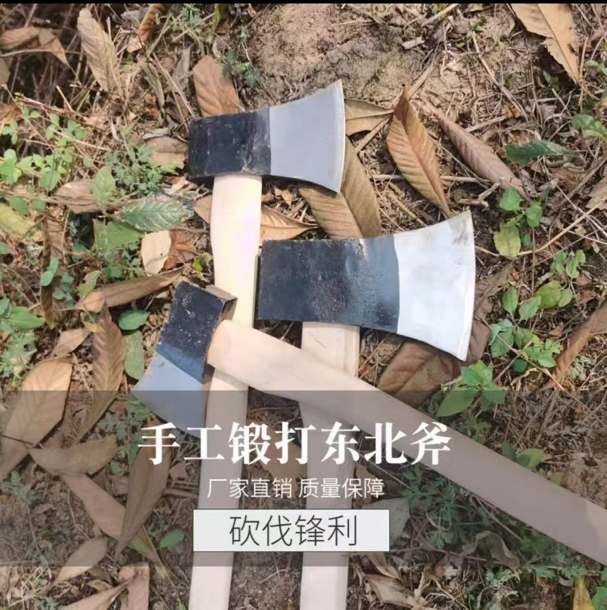 微信图片_20241224142338