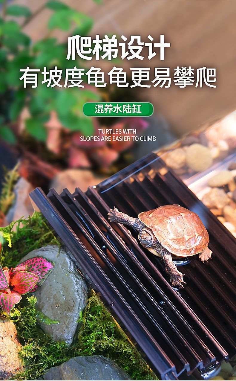 6580590f-9e17-46a8-962a-6af3003c96f7.jpe