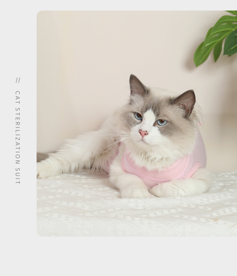 猫咪绝育服_06