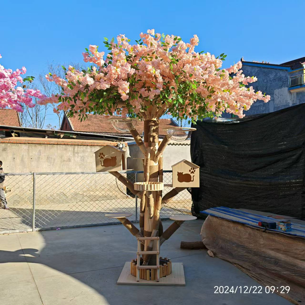 微信图片_20250117210835